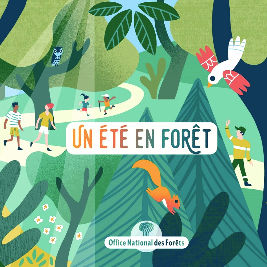 Un été en forêt avec l'Office National des Forêts, Clod illustrateur