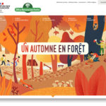 Un automne en forêt avec l'Office National des Forêts, Clod illustrateur