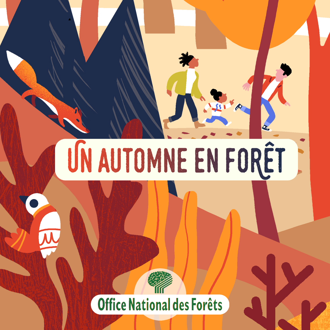 Un automne en forêt avec l'Office National des Forêts, Clod illustrateur