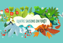 Clod illustration Office National des Forêts, les quatre saisons