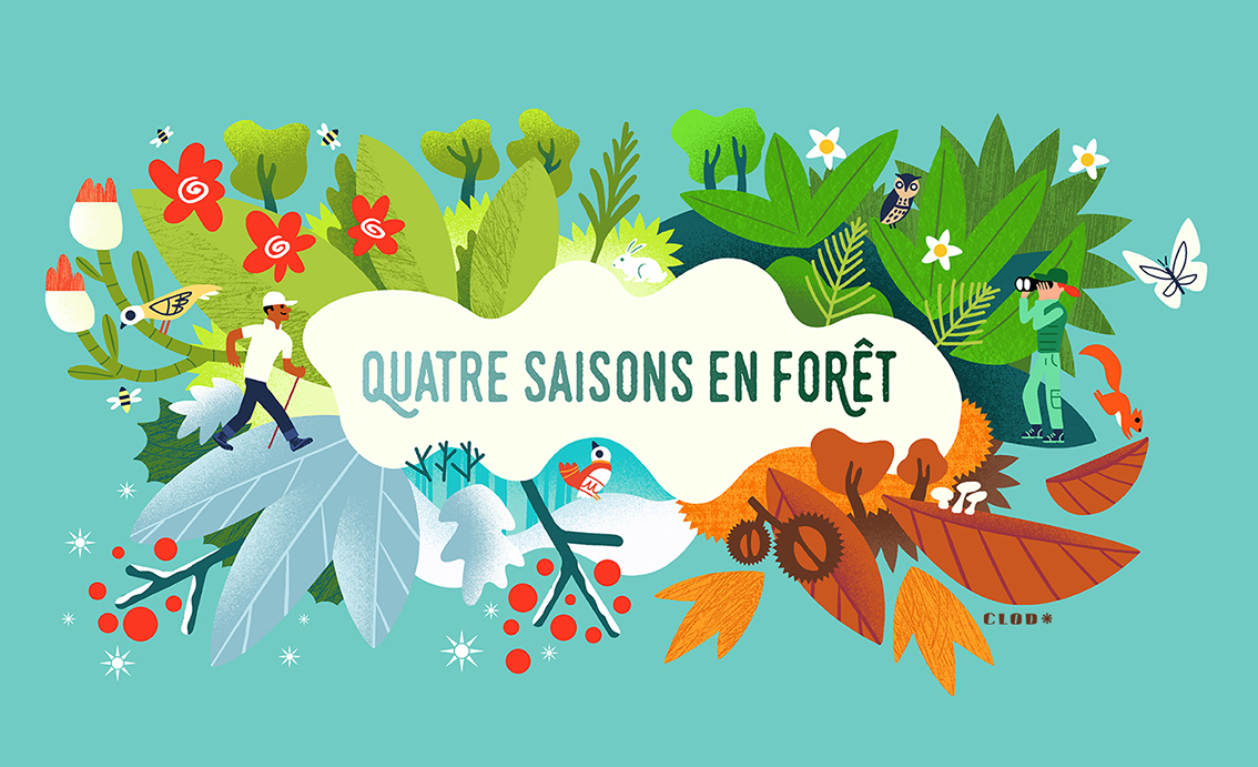 Clod illustration Office National des Forêts, les quatre saisons